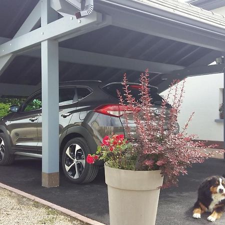 La Noue Aubain Bed & Breakfast Corbenay Luaran gambar