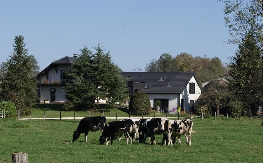 La Noue Aubain Bed & Breakfast Corbenay Luaran gambar